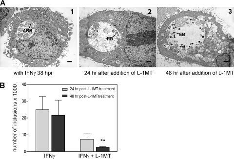 Fig. 11.