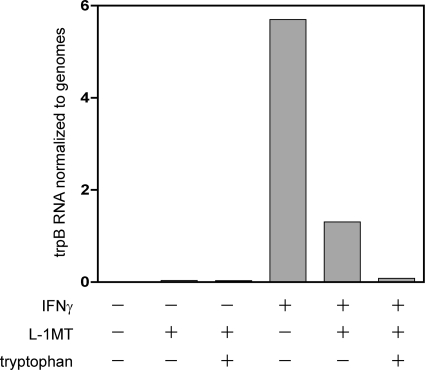 Fig. 9.