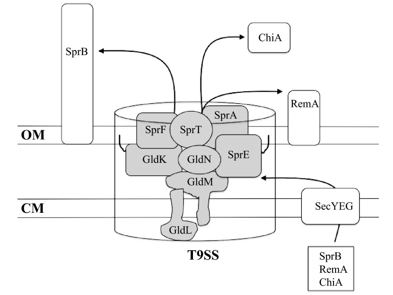 Fig 10