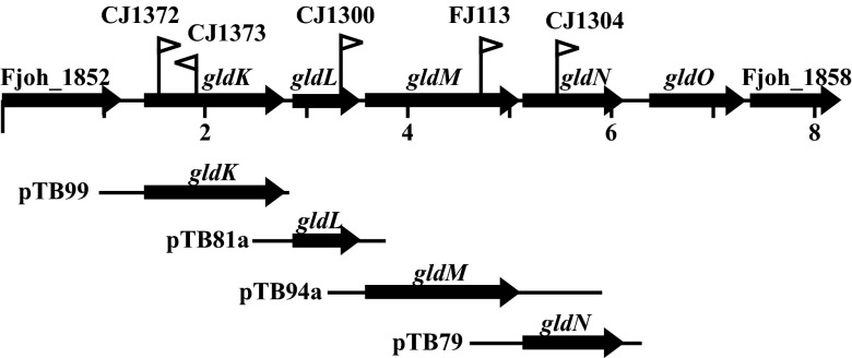 Fig 1