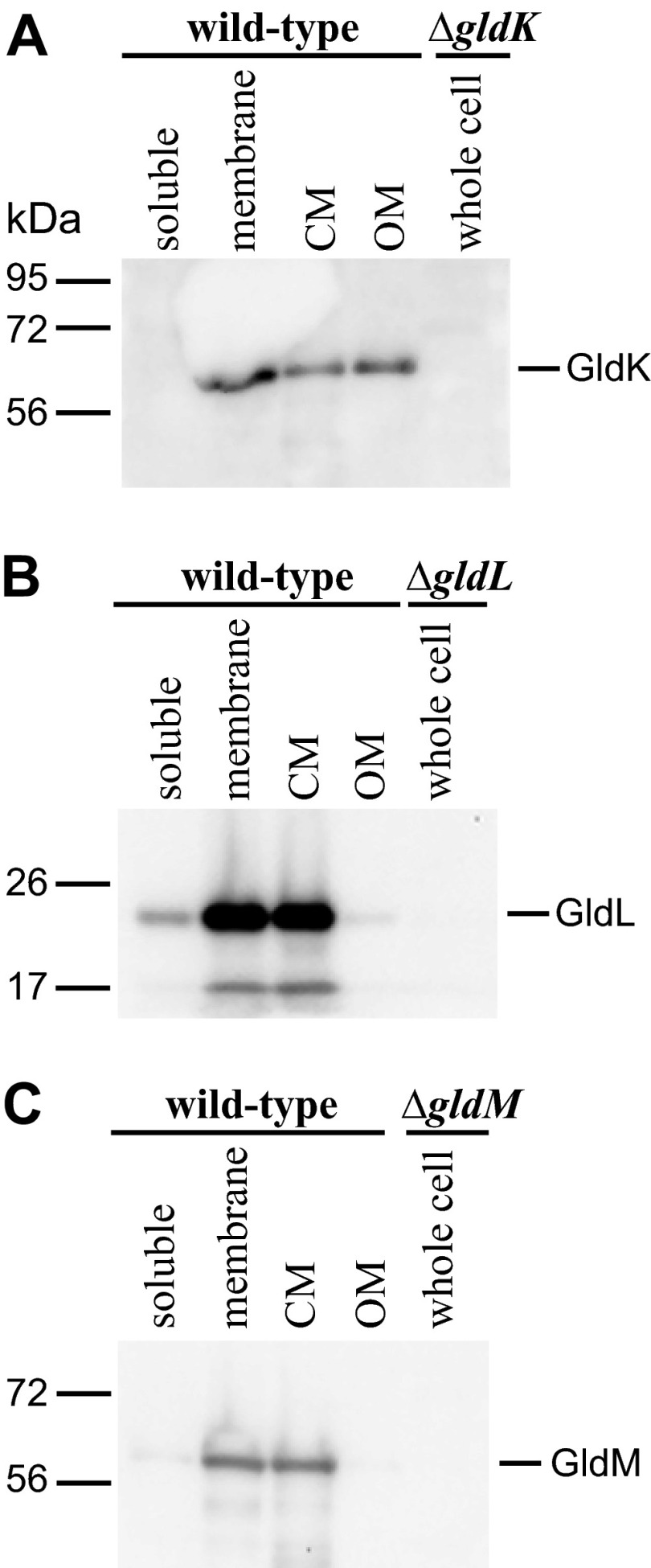 Fig 9