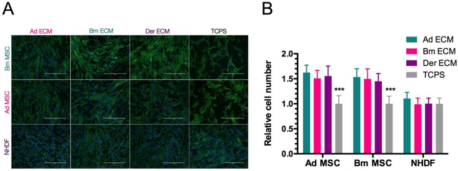 Figure 5: