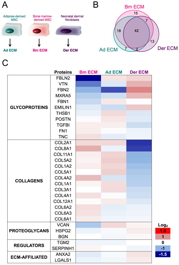 Figure 4: