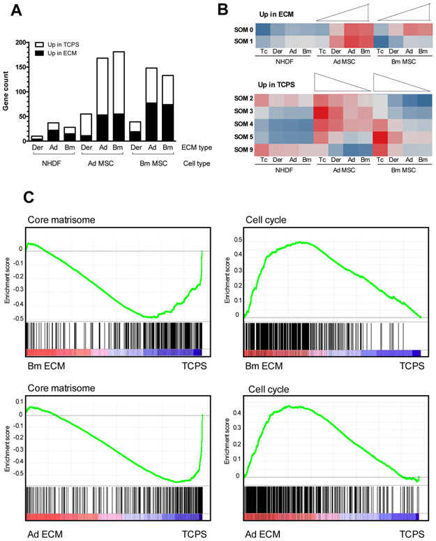 Figure 6: