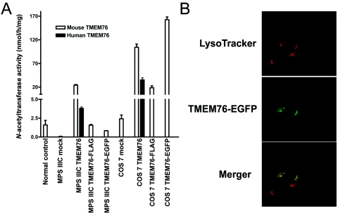 Figure  6. 