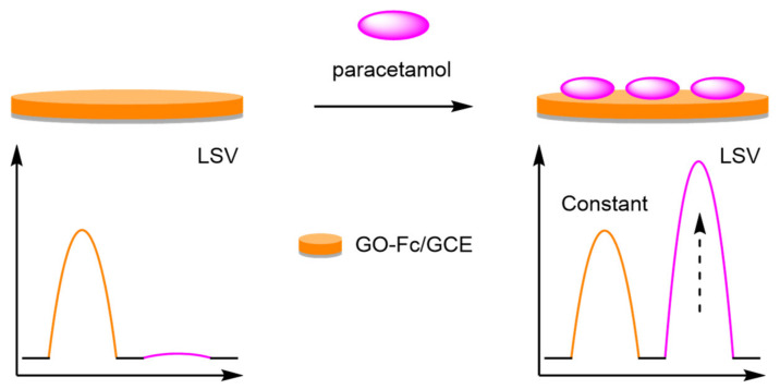 Figure 31