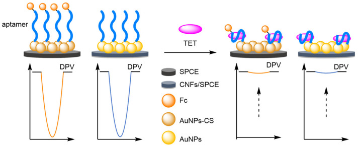 Figure 51