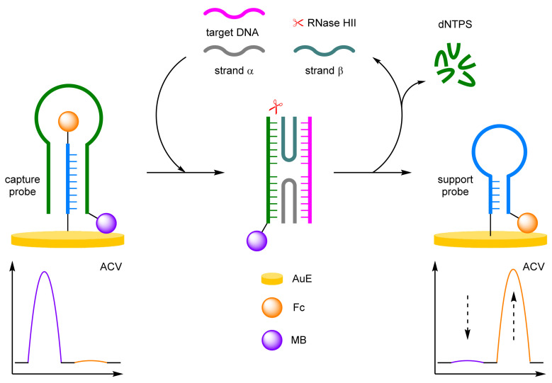 Figure 13