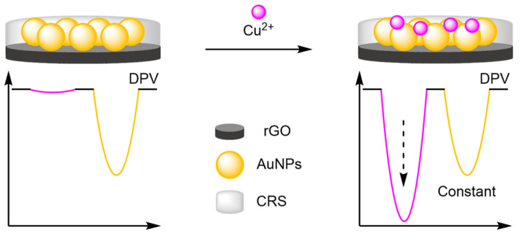 Figure 29