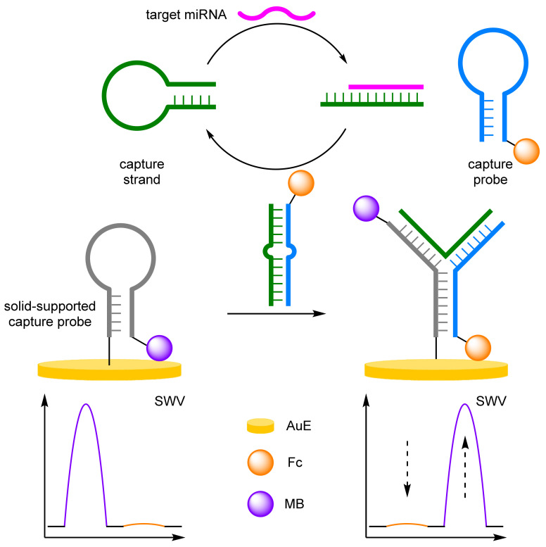 Figure 20