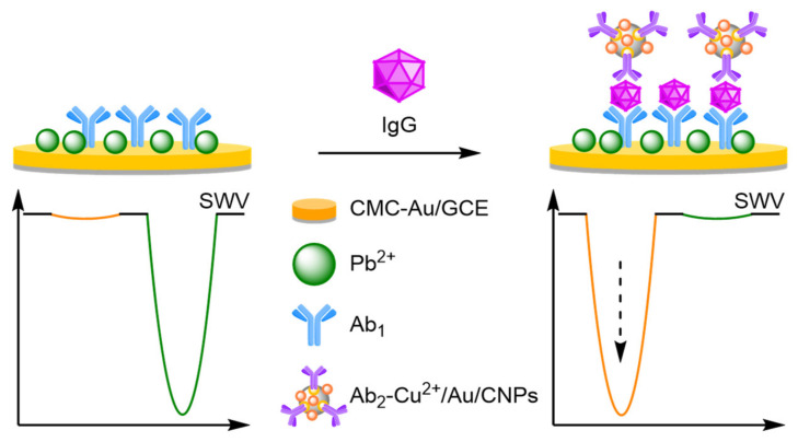 Figure 36