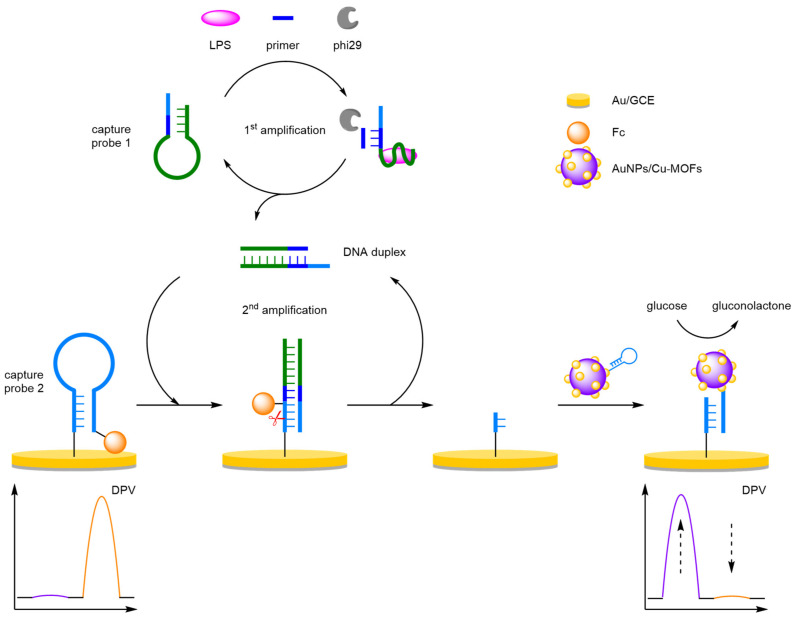 Figure 18