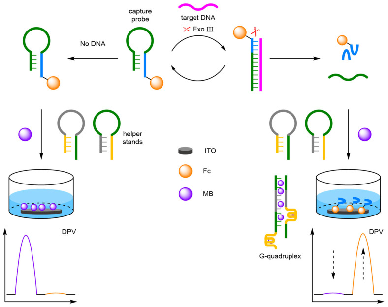 Figure 46