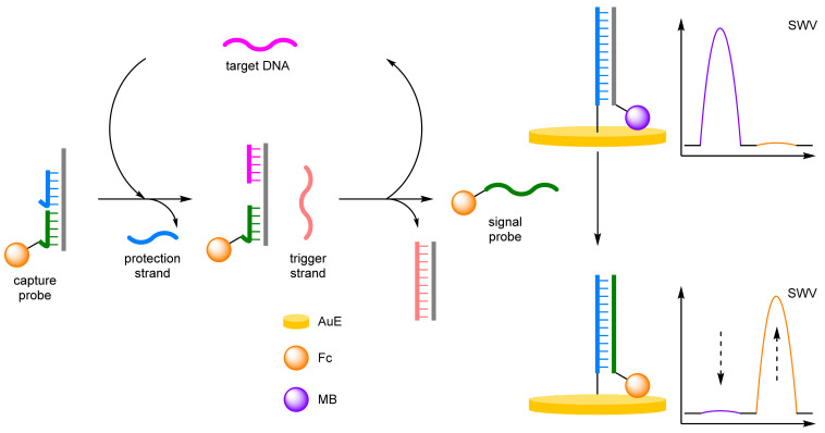 Figure 19