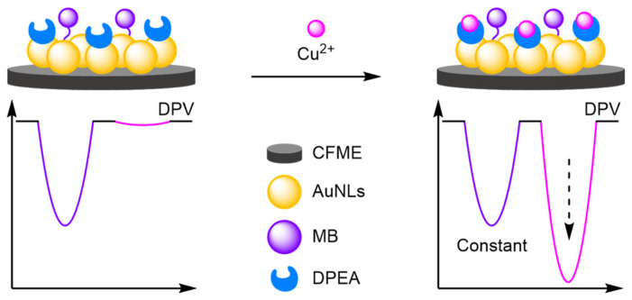 Figure 34