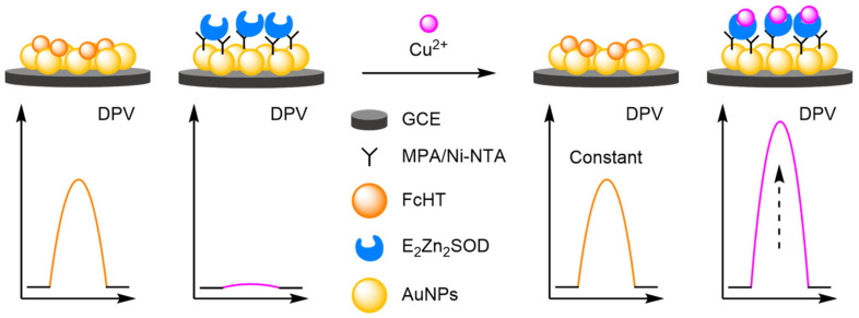 Figure 50