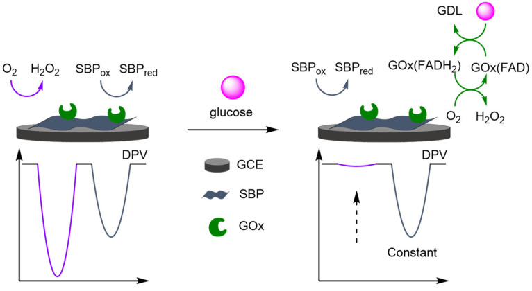 Figure 43