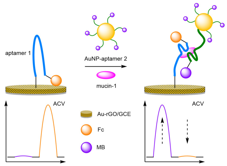 Figure 22