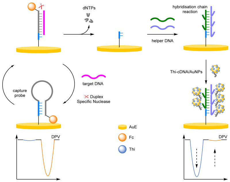 Figure 24