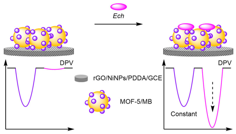 Figure 30