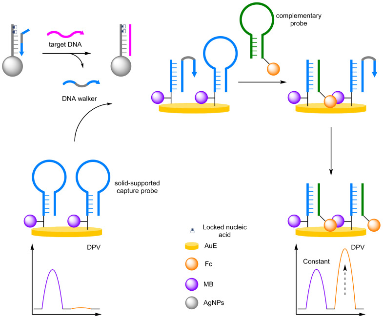 Figure 21