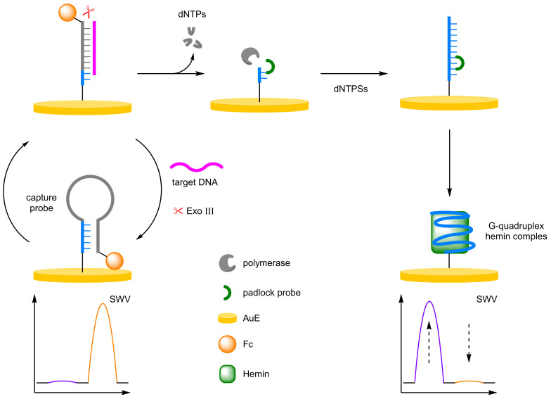 Figure 17