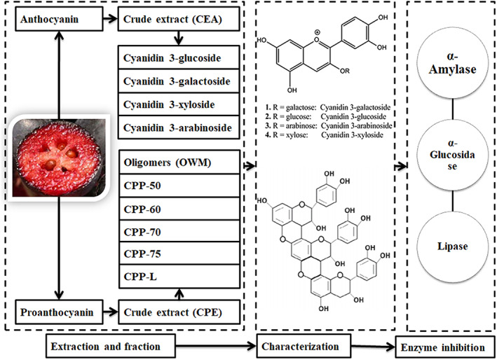 FIGURE 1