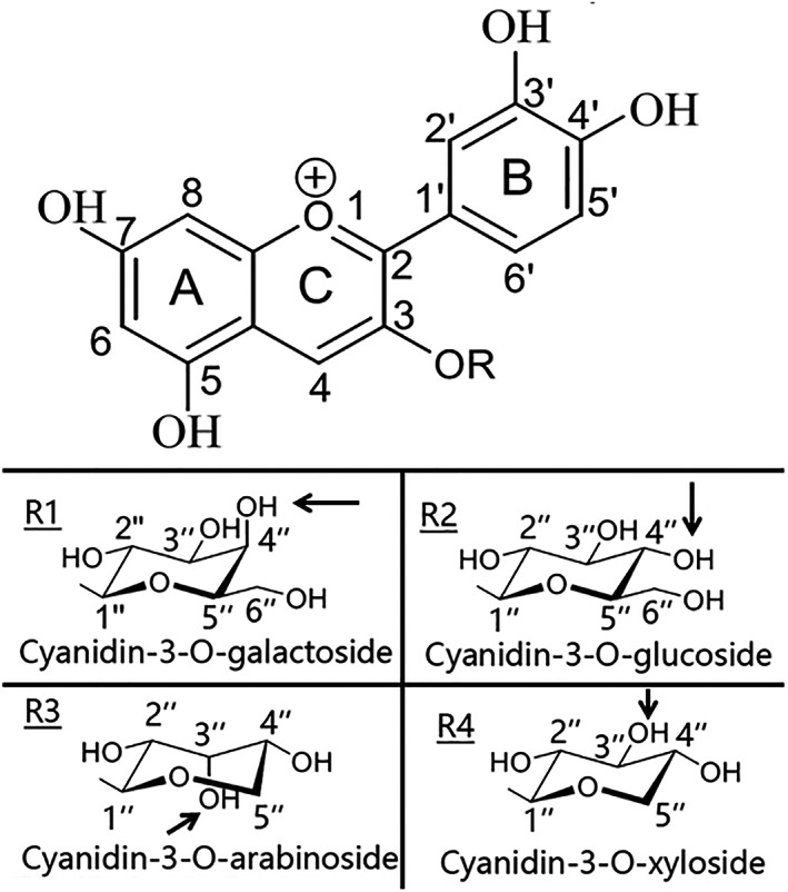 FIGURE 5