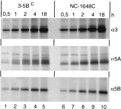 FIG. 7