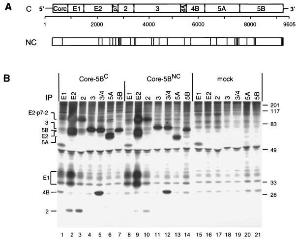 FIG. 1