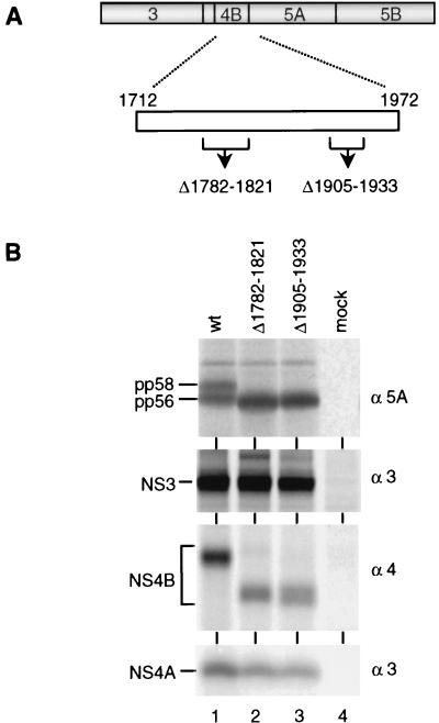 FIG. 9