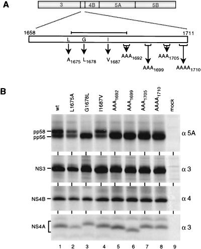 FIG. 8