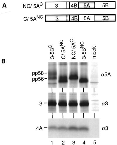 FIG. 5