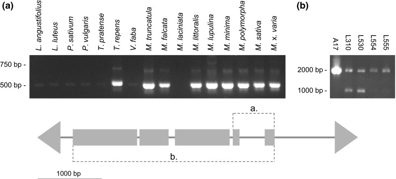 Fig. 2