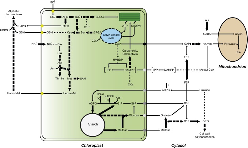 Figure 6.