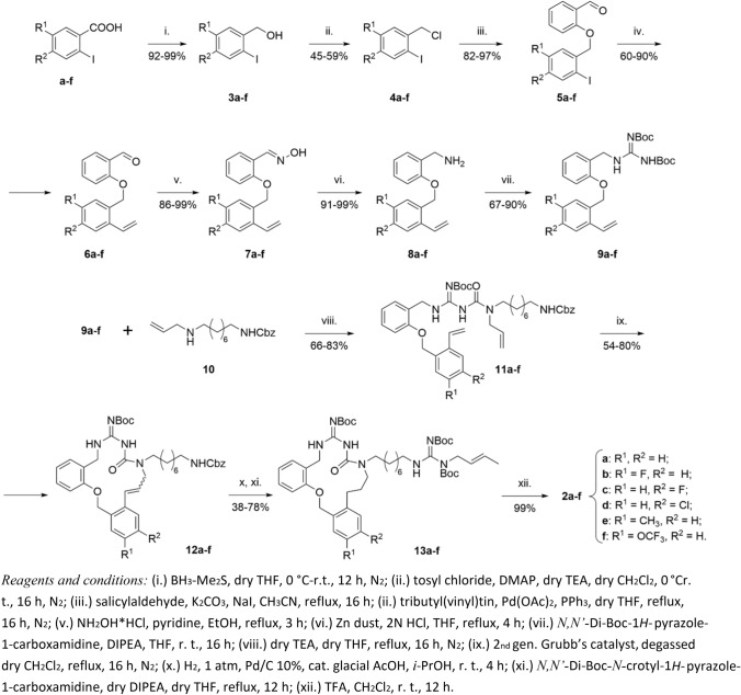 Scheme 1