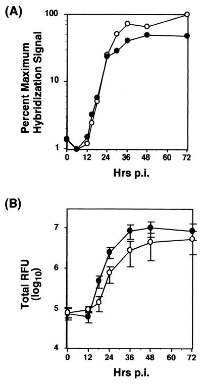 FIG. 5.