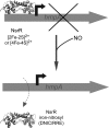 FIG. 7.