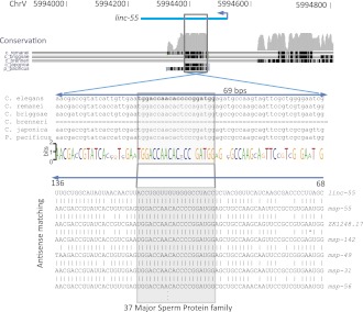 Figure 6.