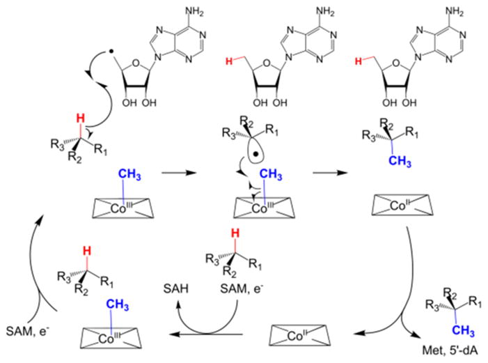 Scheme 3