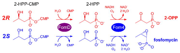 Scheme 2