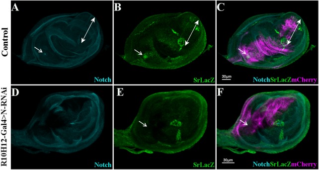 Fig. 3.