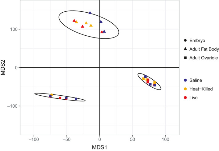 FIGURE 1