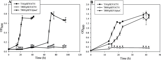 Fig 5