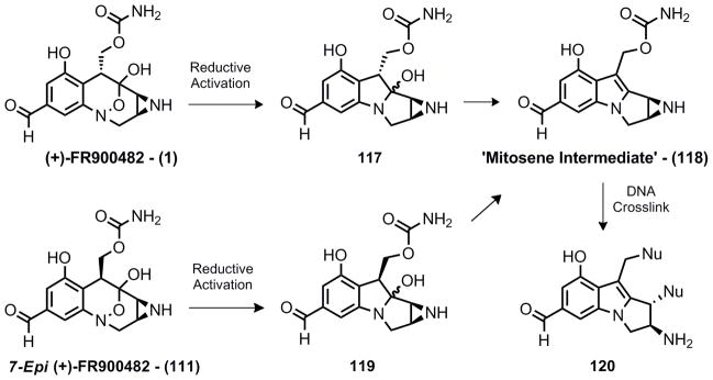 Scheme 22