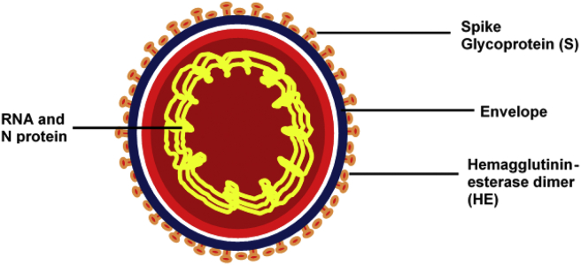 Fig. 1