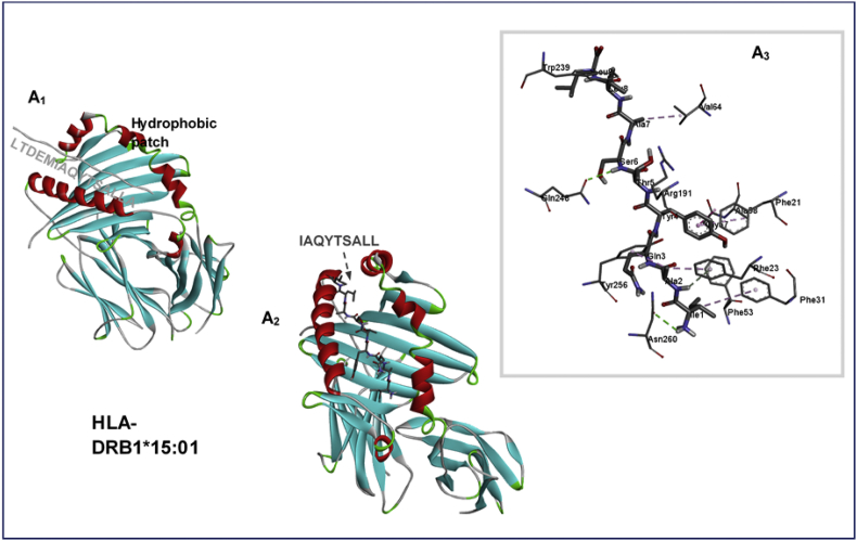 Fig. 8