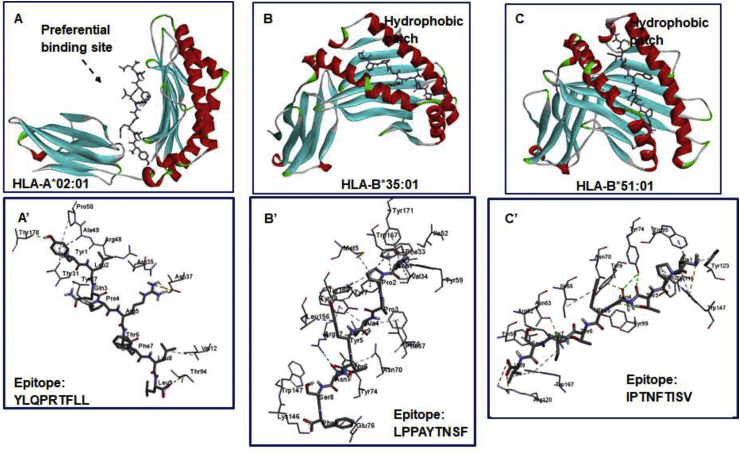 Fig. 7