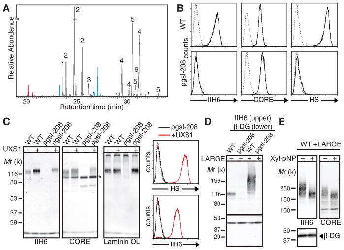 Fig. 1