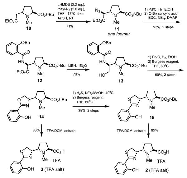 Scheme 3